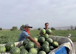 每天娱乐吃瓜,娱乐圈新鲜事速递